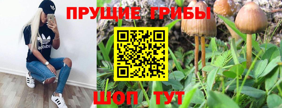 Псилоцибиновые грибы мицелий Красноуфимск