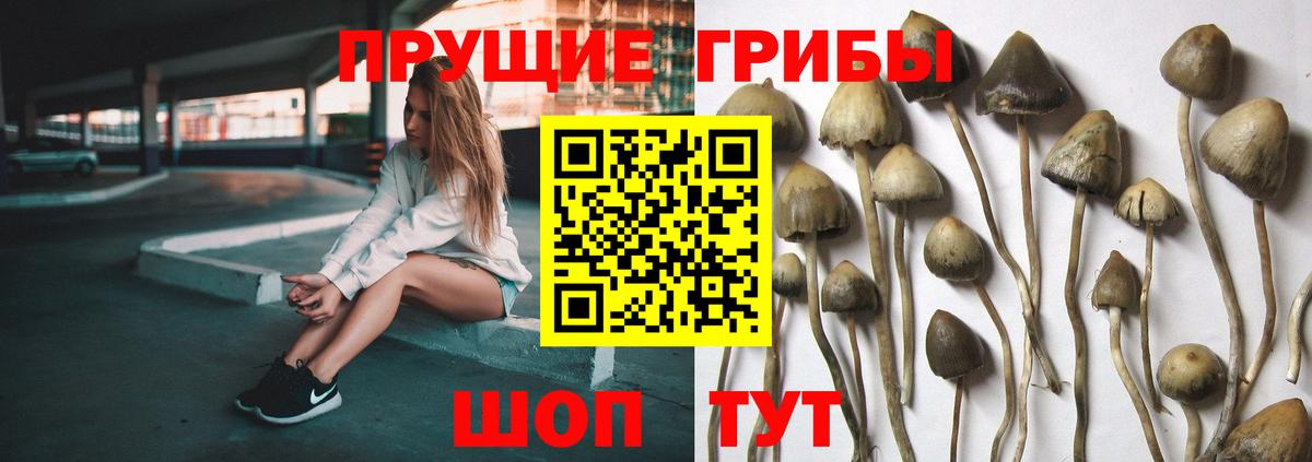 Галлюциногенные грибы Cubensis  Галлюциногенные грибы Psilocybe  Красноуфимск  купить наркотик  Вход с VPN 
